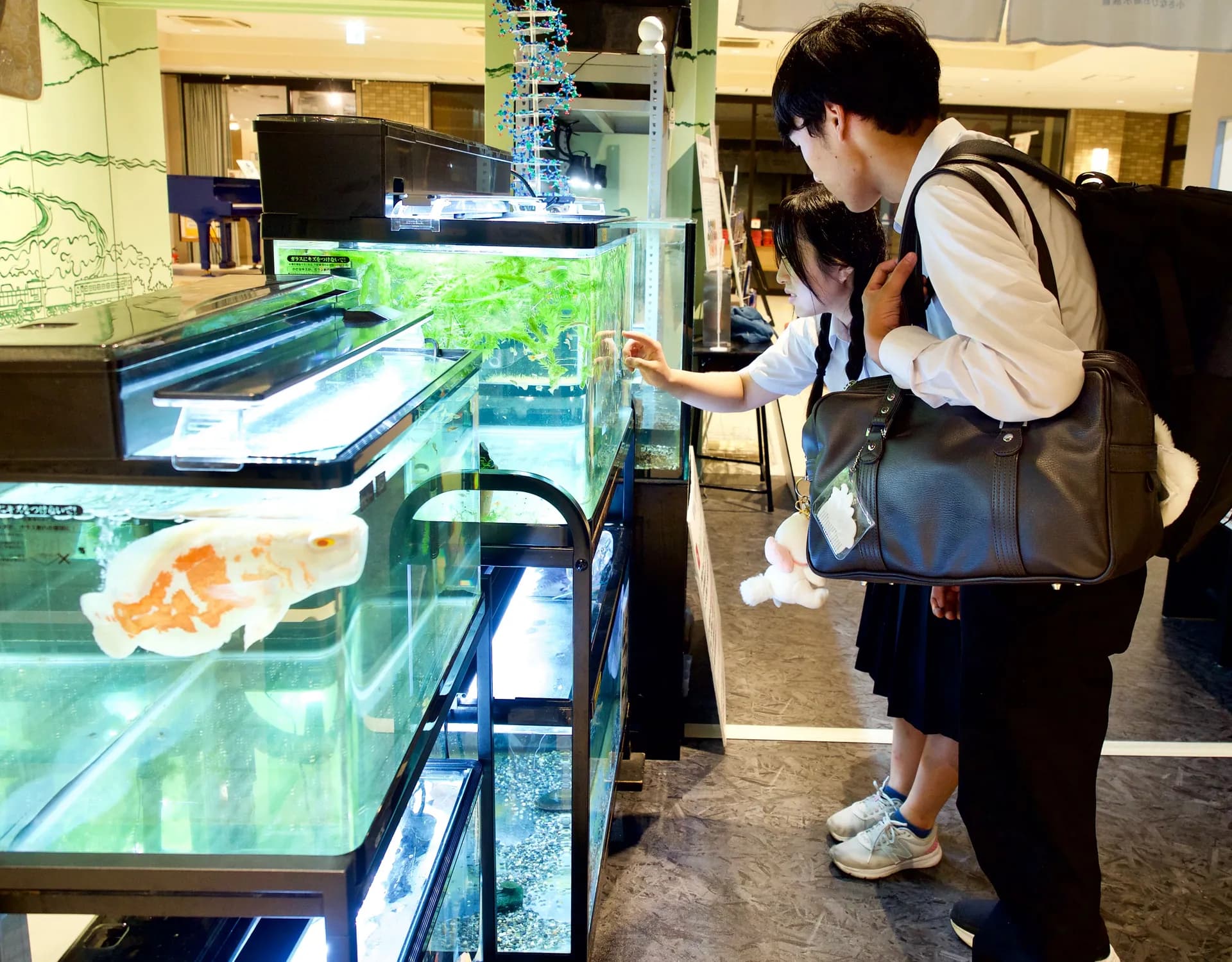 小さなびわ湖水族館 オサカナラボ