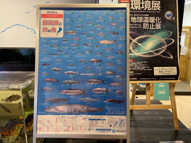 淡水魚