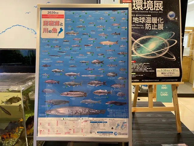 長浜駅前にあるお店「小さなびわ湖水族館 オサカナラボ」の料理・メニュー（3/6）