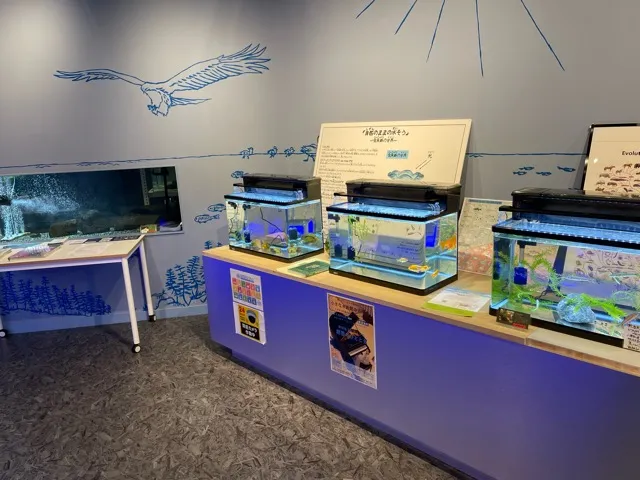 長浜駅前にあるお店「小さなびわ湖水族館 オサカナラボ」の雰囲気（5/6）