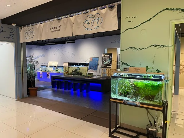長浜駅前にあるお店「小さなびわ湖水族館 オサカナラボ」の雰囲気（6/6）