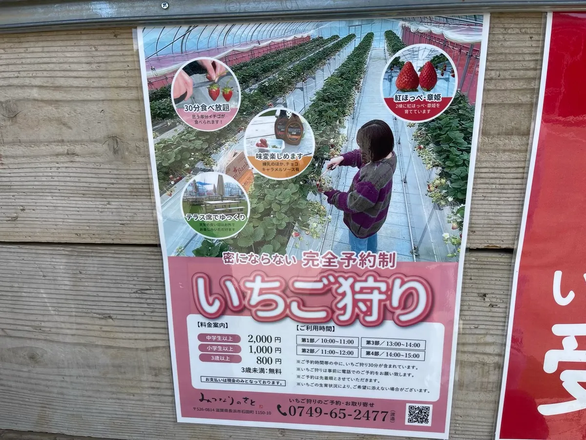 いちご狩り案内