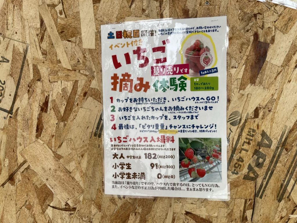 いちご積み体験