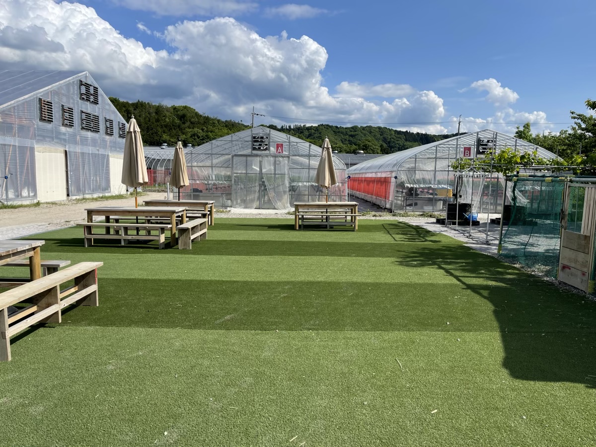 いちご狩り広場